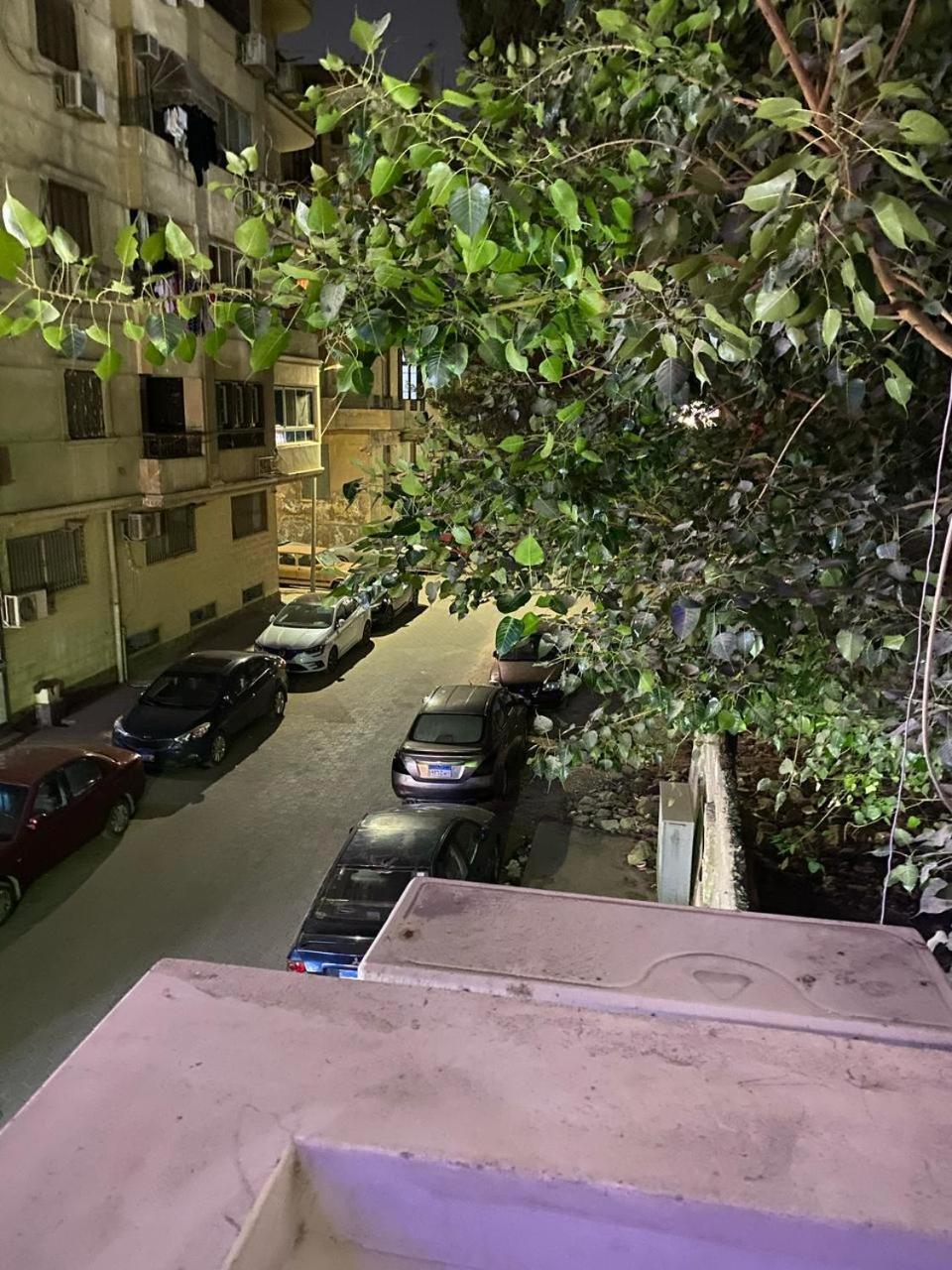 شقة Peaceful Modern - Downtown *